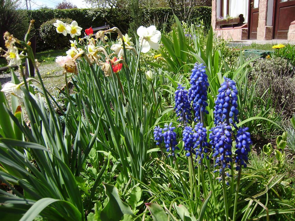 Villa San Ignacio Bariloche Buitenkant foto